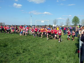 九游体育在线-中国篮球青少年篮球发展政策落实与推广，中国青少年篮球发展现状