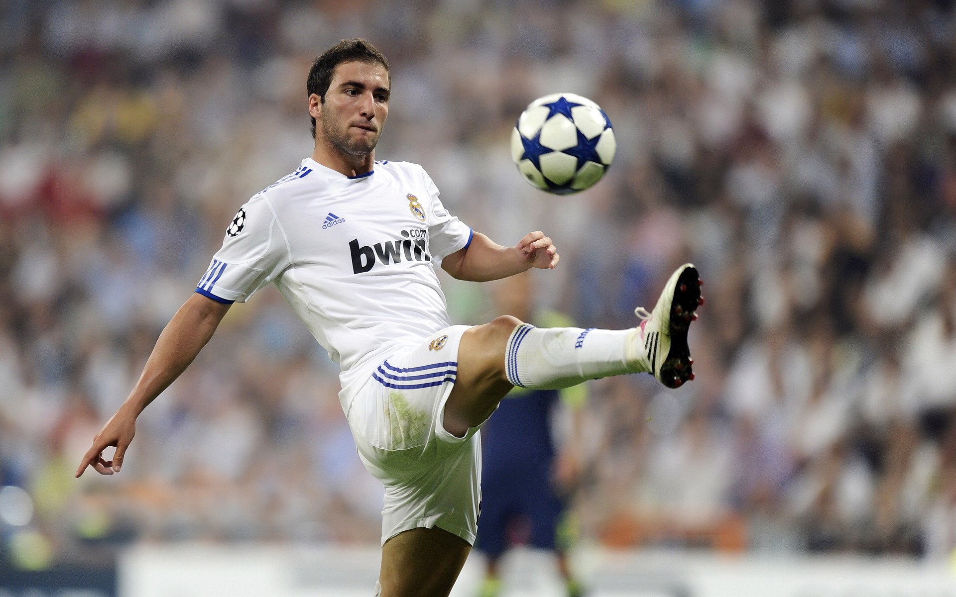 中国九游体育-《全球电竞经济报告：市场规模持续增长》，全球电竞游戏市场规模